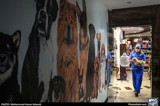 بیمارستان حیوانات / عکس: محمد حسن صلواتی / شهرآرا