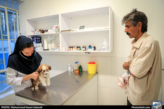 بیمارستان حیوانات / عکس: محمد حسن صلواتی / شهرآرا