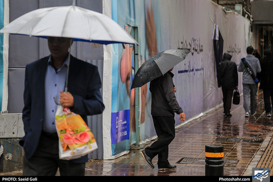 بارش باران در مشهد / عکس: سعید گلی / شهرآرا