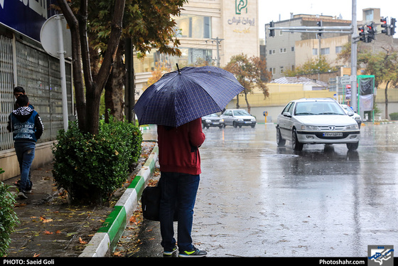 بارش باران در مشهد / عکس: سعید گلی / شهرآرا