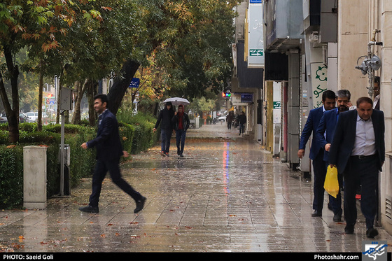 بارش باران در مشهد / عکس: سعید گلی / شهرآرا