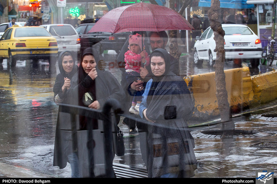 بارش باران در مشهد / عکس: داود بهگام / شهرآرا