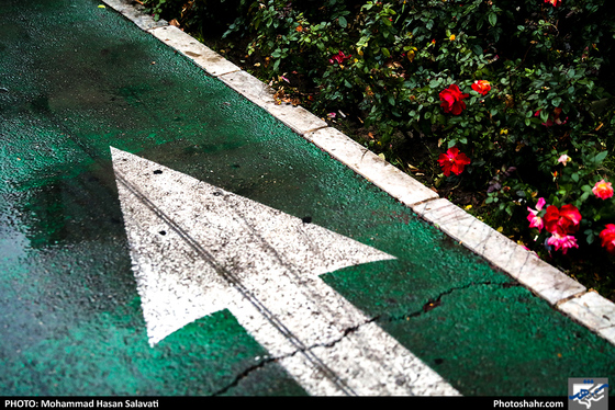 عصر بارانی / عکس: محمد حسن صلواتی / شهرآرا