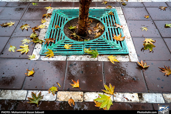 عصر بارانی / عکس: محمد حسن صلواتی / شهرآرا