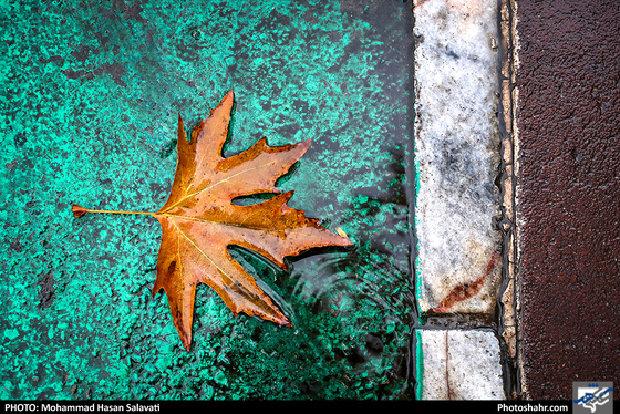 عصر بارانی / عکس: محمد حسن صلواتی / شهرآرا