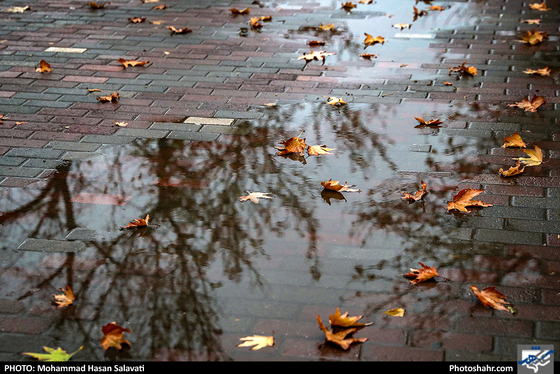 عصر بارانی / عکس: محمد حسن صلواتی / شهرآرا