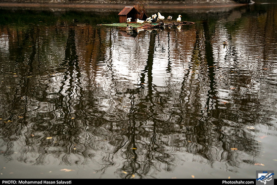 عصر بارانی / عکس: محمد حسن صلواتی / شهرآرا