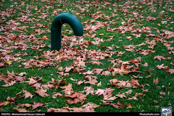 عصر بارانی / عکس: محمد حسن صلواتی / شهرآرا