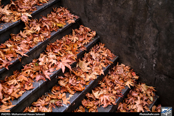 عصر بارانی / عکس: محمد حسن صلواتی / شهرآرا