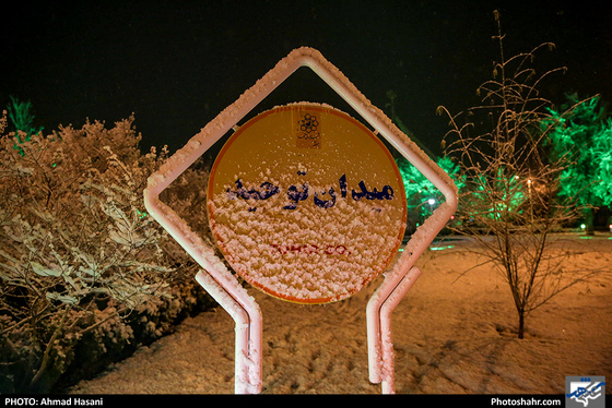 بارش دومین برف زمستانی در مشهد-عکاس: احمد حسنی/ شهرآرا
