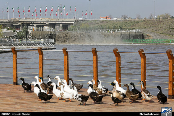 وضعیت بوستان چهل بازه بعد از بارندگی روزهای اخیر - عکاس: حسین شریعت / شهرآرا