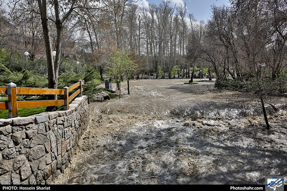 وضعیت بوستان وکیل آباد بعد از بارندگی روزهای اخیر - عکاس: حسین شریعت / شهرآرا