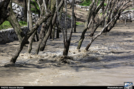وضعیت بوستان وکیل آباد بعد از بارندگی روزهای اخیر - عکاس: حسین شریعت / شهرآرا