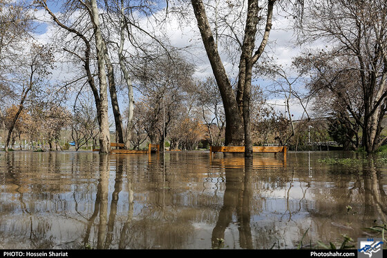 وضعیت بوستان وکیل آباد بعد از بارندگی روزهای اخیر - عکاس: حسین شریعت / شهرآرا