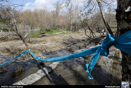 وضعیت بوستان وکیل آباد بعد از بارندگی روزهای اخیر - عکاس: حسین شریعت / شهرآرا