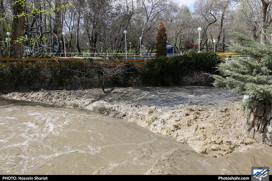 وضعیت بوستان وکیل آباد بعد از بارندگی روزهای اخیر - عکاس: حسین شریعت / شهرآرا
