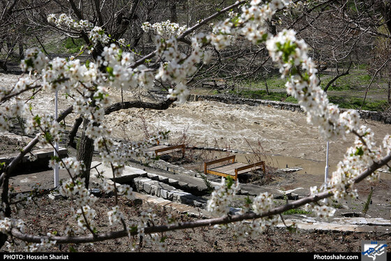 وضعیت بوستان وکیل آباد بعد از بارندگی روزهای اخیر - عکاس: حسین شریعت / شهرآرا
