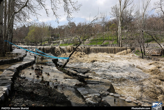 وضعیت بوستان وکیل آباد بعد از بارندگی روزهای اخیر - عکاس: حسین شریعت / شهرآرا