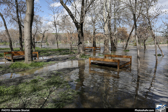 وضعیت بوستان وکیل آباد بعد از بارندگی روزهای اخیر - عکاس: حسین شریعت / شهرآرا