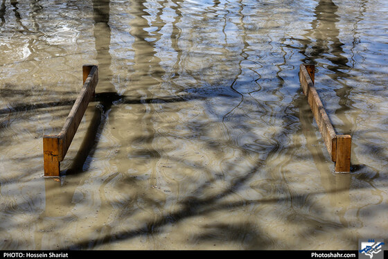 وضعیت بوستان وکیل آباد بعد از بارندگی روزهای اخیر - عکاس: حسین شریعت / شهرآرا