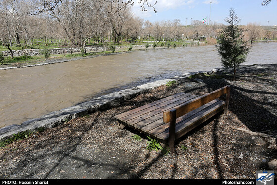 وضعیت بوستان وکیل آباد بعد از بارندگی روزهای اخیر - عکاس: حسین شریعت / شهرآرا