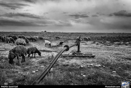 فروچاله- عکاس: سعید گلی/ شهرآرا