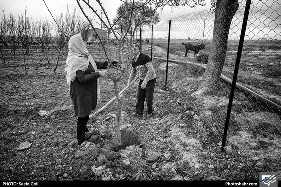 فروچاله- عکاس: سعید گلی/ شهرآرا