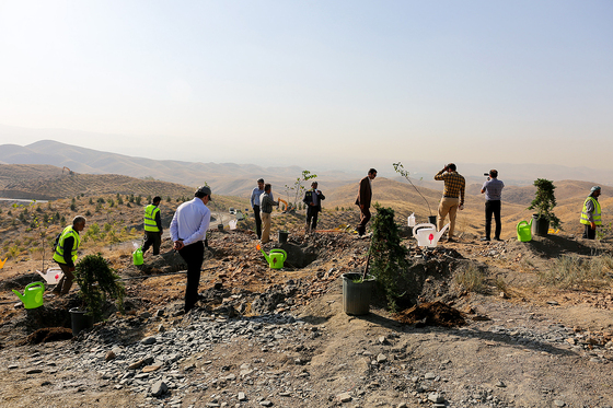 آغاز عملیات اجرایی توسعه درختکاری و شبکه آبیاری در عرصه‎های کمربند سبز جنوبی