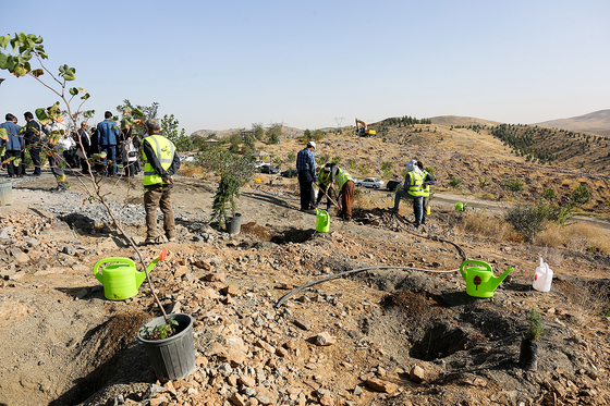 آغاز عملیات اجرایی توسعه درختکاری و شبکه آبیاری در عرصه‎های کمربند سبز جنوبی