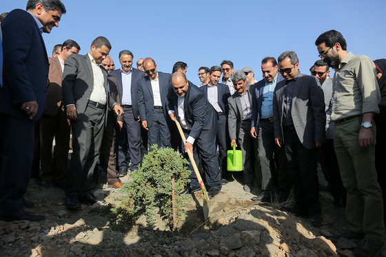 آغاز عملیات اجرایی توسعه درختکاری و شبکه آبیاری در عرصه‎های کمربند سبز جنوبی