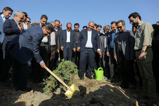 آغاز عملیات اجرایی توسعه درختکاری و شبکه آبیاری در عرصه‎های کمربند سبز جنوبی