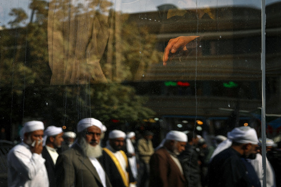 تشرف کاروان زیارتی اهل سنت به حرم مطهر رضوی