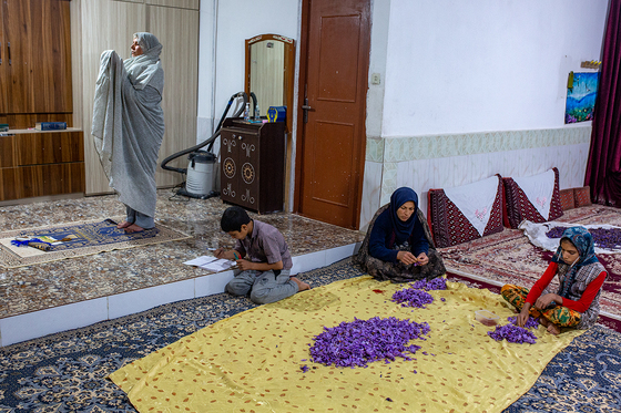 سرزمین طلای سرخ