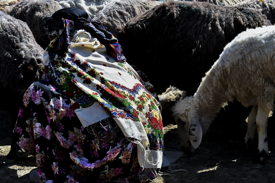 ساکنینِ کوچ