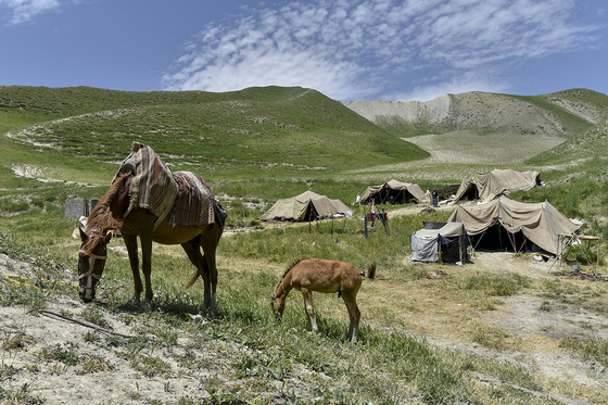 ساکنینِ کوچ
