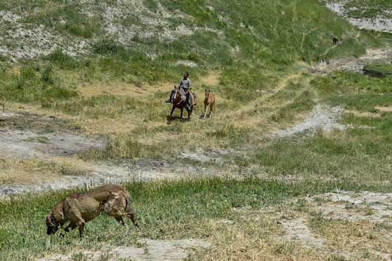 ساکنینِ کوچ