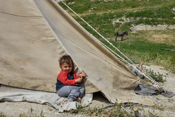 ساکنینِ کوچ