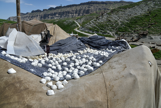 ساکنینِ کوچ