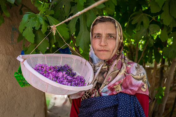 روستای حاجی بیگی 