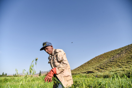 روستای حاجی بیگی 