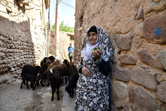 روستای حاجی بیگی 