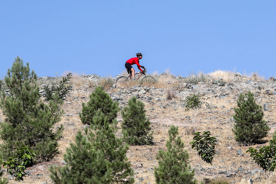 مسابقات دوچرخه سواری قهرمانی کوهستان