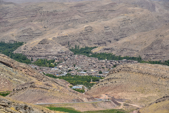 برداشت تنباکو در روستای بقمچ