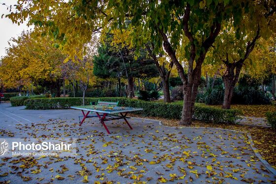 طبیعت پاییزی بوستان ملت و وکیل آباد