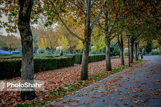 طبیعت پاییزی بوستان ملت و وکیل آباد