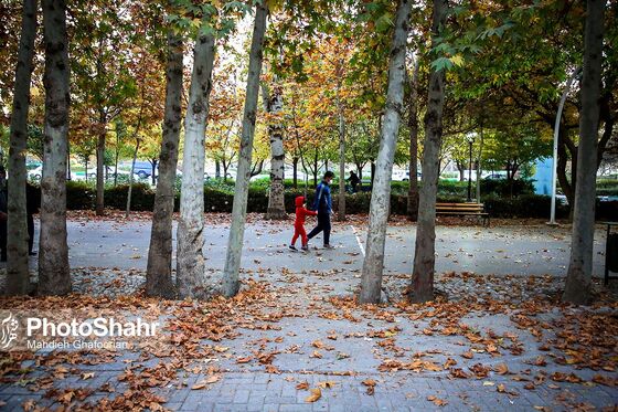طبیعت پاییزی بوستان ملت و وکیل آباد