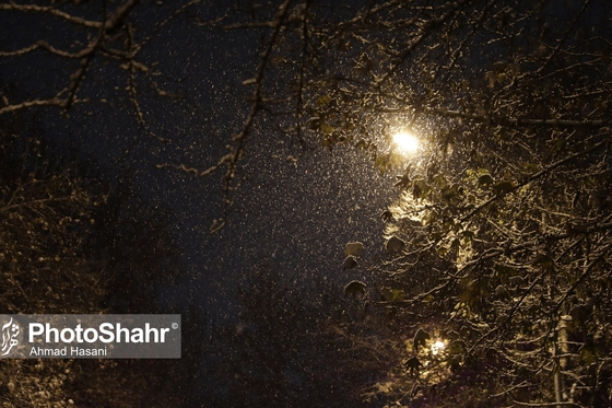 شب برفی مشهد