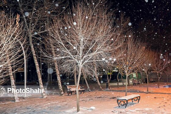 شب برفی مشهد