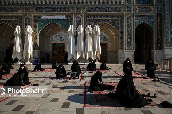 چهارشنبه های زیارتی