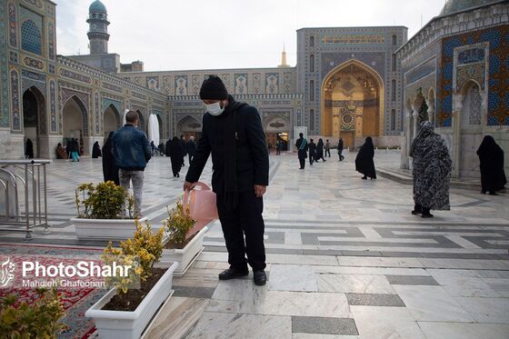 چهارشنبه های زیارتی
